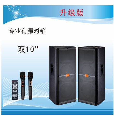 专业有源舞台音箱DM-220