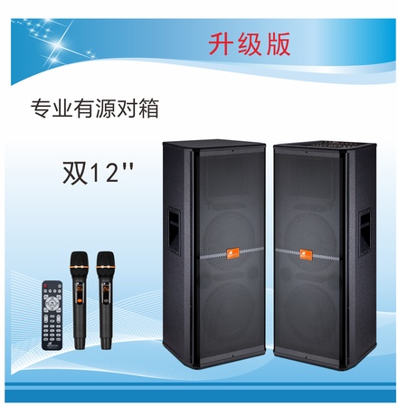 专业有源舞台音箱DM-222