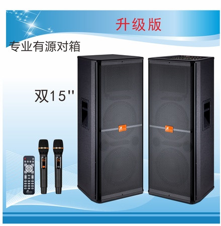 专业有源舞台音箱DM-252