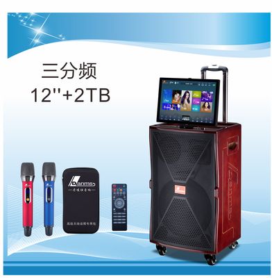 户外高端专A业演出音响K歌视频音响H-320