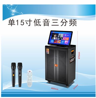 户外/家庭高端专业演出音响K歌直播视频音响H-8965