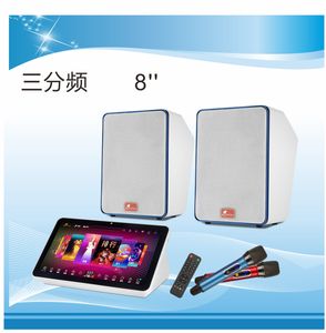 专业家庭K歌套装，娱乐K歌套装K-868