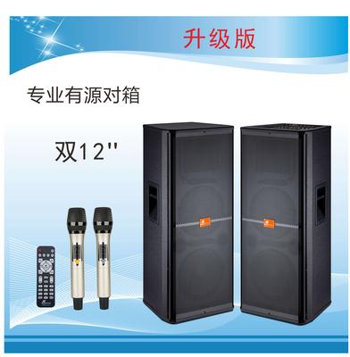 专业有源舞台音箱DM-222