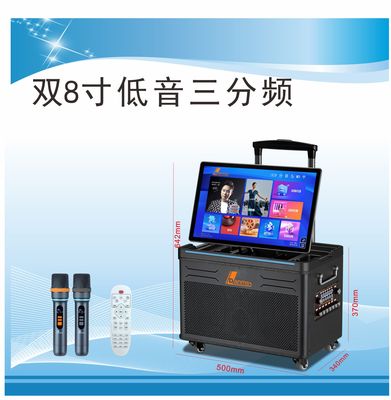 户外/家庭高端专业演出音响K歌直播视频音响K-590