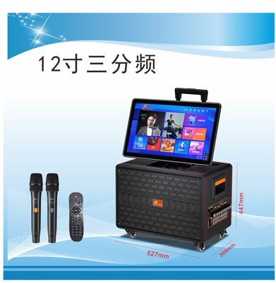 户外/家庭高端专业演出音响K歌直播视频音响H-3612