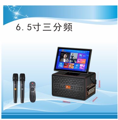 户外/家庭高端专业演出音响K歌直播视频音响H-3606