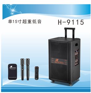 户外高端专业演出音响K歌音响H-9115