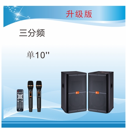 专业有源舞台音箱DM-10