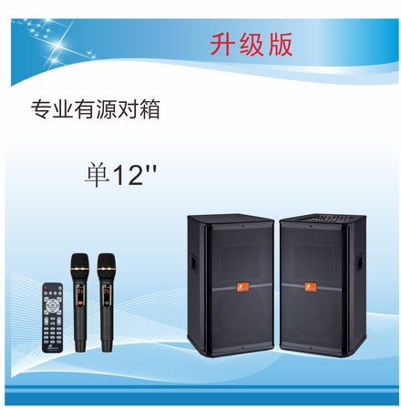 专业有源舞台音箱DM-12