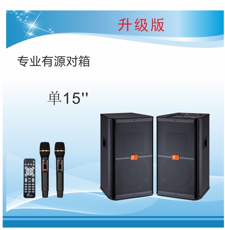 专业有源舞台音箱DM-15