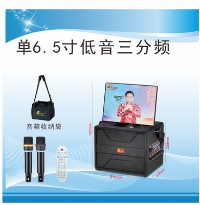 户外/家庭高端专业演出音响K歌直播视频音响K-630