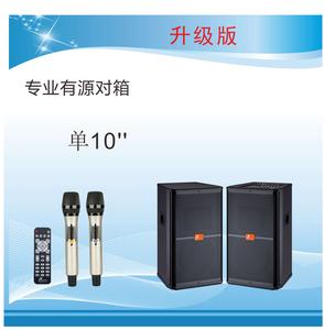 专业有源舞台音箱DM-10