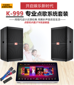 专业家庭K歌套装，娱乐K歌套装K-999